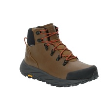 Jack Wolfskin Hiking Shoes Terraquest X Texapore Mid (waterproof and breathable) dark brown Men