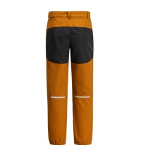 Jack Wolfskin Winter Softshell Trousers Rascal Winter Pants (windproof, water-repellent) long light brown Kids