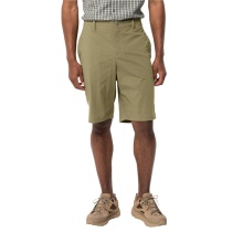 Jack Wolfskin Everyday Hiking Shorts Desert (breathable, quick-drying) short green men's