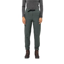 Jack Wolfskin Hiking Trousers Wandermood Pant (windproof, water-repellent, breathable) dark green Women