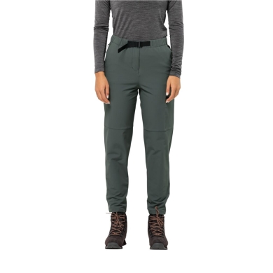 Jack Wolfskin Hiking Trousers Wandermood Pant (windproof, water-repellent, breathable) dark green Women