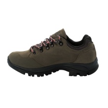 Jack Wolfskin Hiking Shoes Rebellion Texapore Low (Trekking, waterproof, 100% PFC-free) brown/phantom grey Women