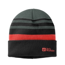 Jack Wolfskin Winter Hat (Beanie) Stripy Knit - dark green Kids