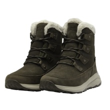 Jack Wolfskin Dromoventure Texapore High Winter Boots (Texawarm insulation, waterproof) brown Ladies