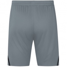 JAKO Sports Shorts Challenge (Polyester Interlock, without inner slip) short grey Boys