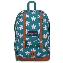 JanSport Everyday Backpack Cortlandt green 25 litres