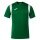 Joma Sport T-Shirt Dinamo (100% Polyester) green men's