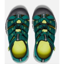 Keen Sandal Newport H2 (quick-drying, quick-lacing system with Velcro fastener) teal green Children