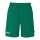 Kempa Team Shorts (elastic waistband with drawstring) short green Men