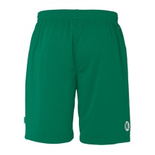 Kempa Team Shorts (elastic waistband with drawstring) short green Men