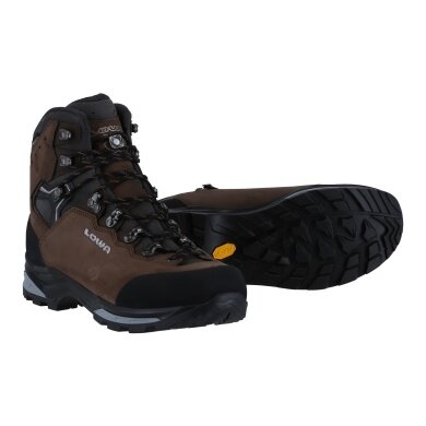 Lowa Hiking Shoes Camino Evo GTX (Trekking, Nubuck Leather, Waterproof) 2024 Brown/Graphite Men's