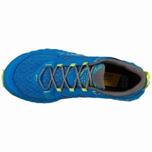 La Sportiva Trail Running Shoes Lycan II blue Men