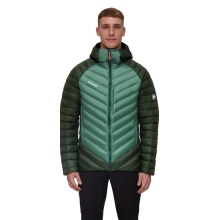 Mammut Winter Down Jacket Broad Peak Insulated Hooded (Hood, warming thanks to down filling) jade green/dark green Men