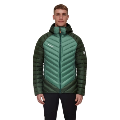 Mammut Winter Down Jacket Broad Peak Insulated Hooded (Hood, warming thanks to down filling) jade green/dark green Men