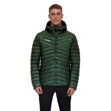 Mammut Insulation Winter Jacket Albula Insulated Hooded (Hood, very light, PFC-free) dark green Men