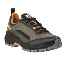 Millet Hiking Shoes Wanaka GTX (Fast Hiking, waterproof) brown/orange men's