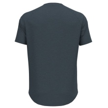 Odlo Hiking/Leisure Tshirt Ascent Performance Wool 130 Run Bike Hike with Landscape Print dark grey Men