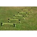 Powershot Training hurdles Set (plug-in system) yellow - 6 pieces incl. bag