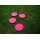 Powershot Marking Discs 24 Piece Set (small) pink