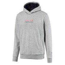 Puma Hoodie Red Bull Racing Dynamic Bull light grey Men