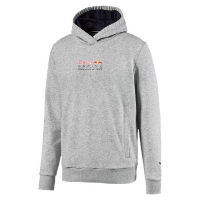 Puma Hoodie Red Bull Racing Dynamic Bull light grey Men