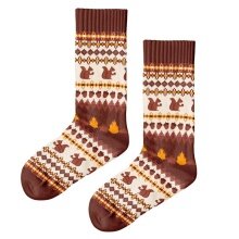 Polar Star Daily Sock Crew Ekorn (Cotton, warm) brown/multicoloured - 1 pair