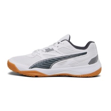 Puma Indoor Shoes Solarflash II white/dark grey Men