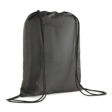 Puma shoe bag teamGOALGym sack - black