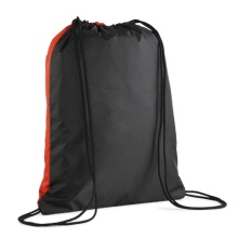 Puma shoe bag teamGOALGym sack - red/black