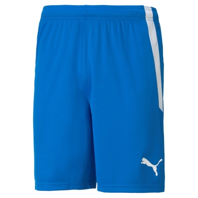 Puma sports shorts teamLIGA shorts short blue men