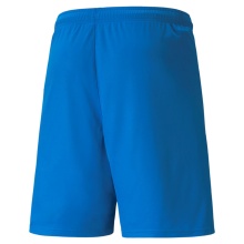 Puma sports shorts teamLIGA shorts short blue men