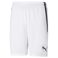 Puma sports trousers teamLIGA shorts short white men