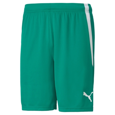 Puma sports trousers teamLIGA shorts short green men