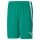 Puma sports trousers teamLIGA shorts short green men