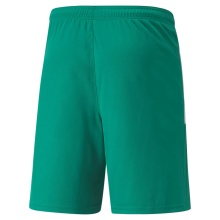 Puma sports trousers teamLIGA shorts short green men