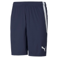 Puma sports trousers teamLIGA shorts short peacoat blue men