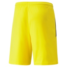 Puma sports trousers teamLIGA shorts short yellow men