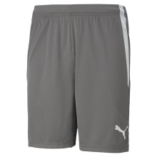 Puma sports trousers teamLIGA shorts short grey men