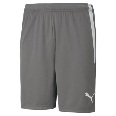 Puma sports trousers teamLIGA shorts short grey men