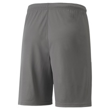 Puma sports trousers teamLIGA shorts short grey men