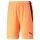 Puma sports shorts teamLIGA Shorts short neon orange men