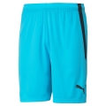 Puma sports shorts teamLIGA shorts short light blue men