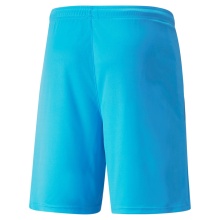 Puma sports shorts teamLIGA shorts short light blue men