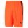 Puma sports shorts teamLIGA shorts short red/black men