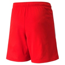 Puma sports trousers teamLIGA shorts red children