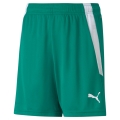 Puma sports trousers teamLIGA shorts green children