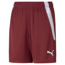 Puma sports trousers teamLIGA shorts dark red children