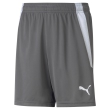 Puma TeamLIGA Shorts Grey Children