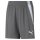 Puma TeamLIGA Shorts Grey Children