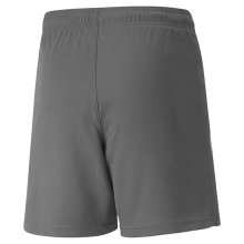 Puma TeamLIGA Shorts Grey Children